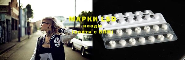 соль ск Алексин