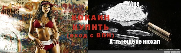 соль ск Алексин